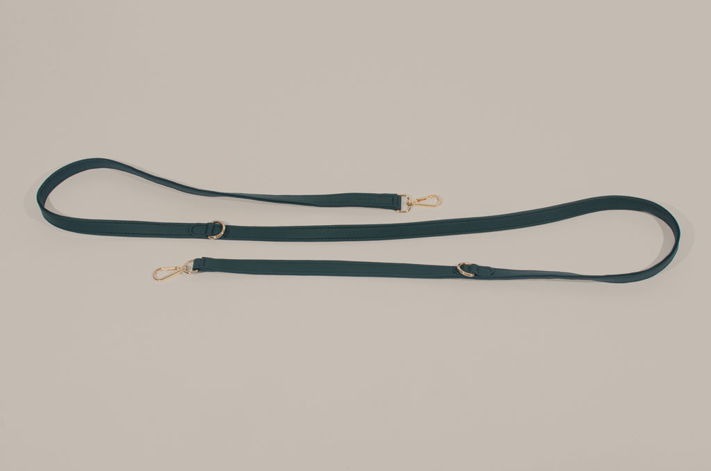 Teal Hands-Free Leash