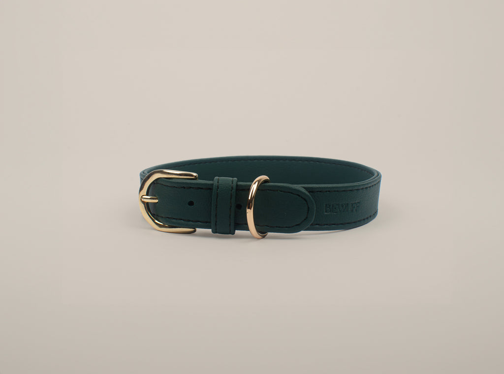 Teal Collar