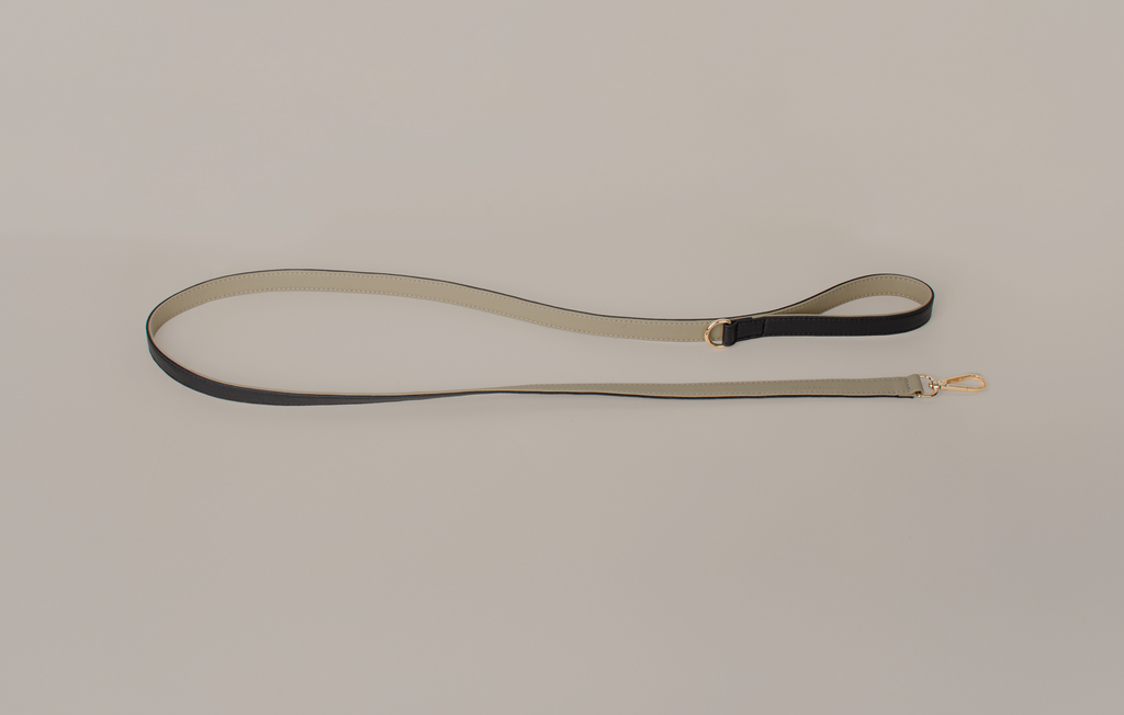 Bi-Color Short Leash
