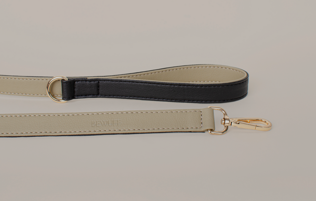 Bi-Color Short Leash