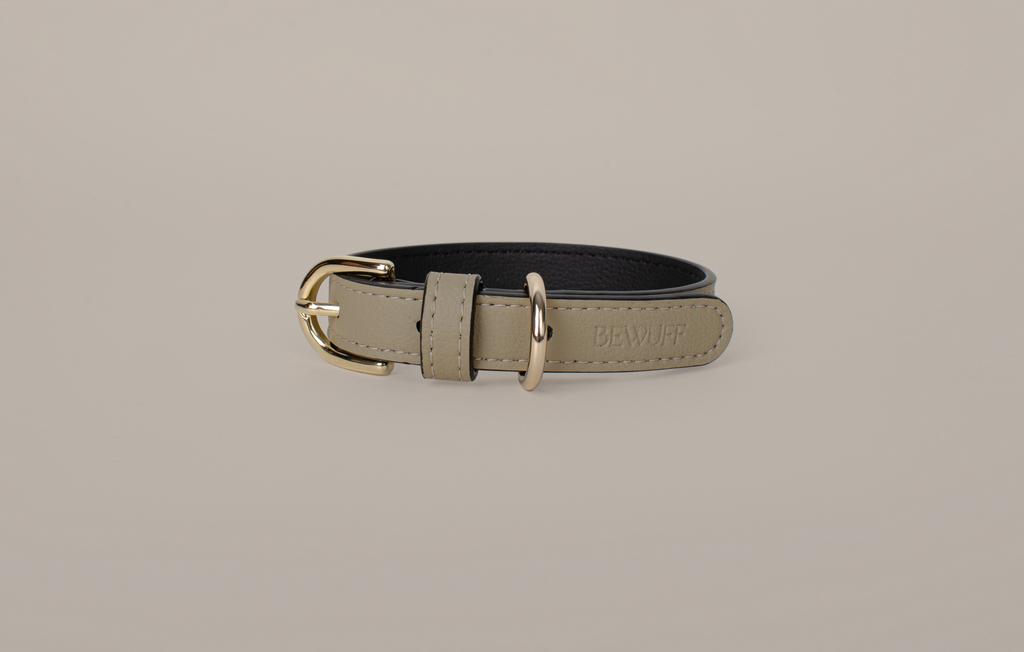 Bi-Color Collar