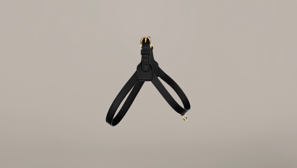 Black Harness