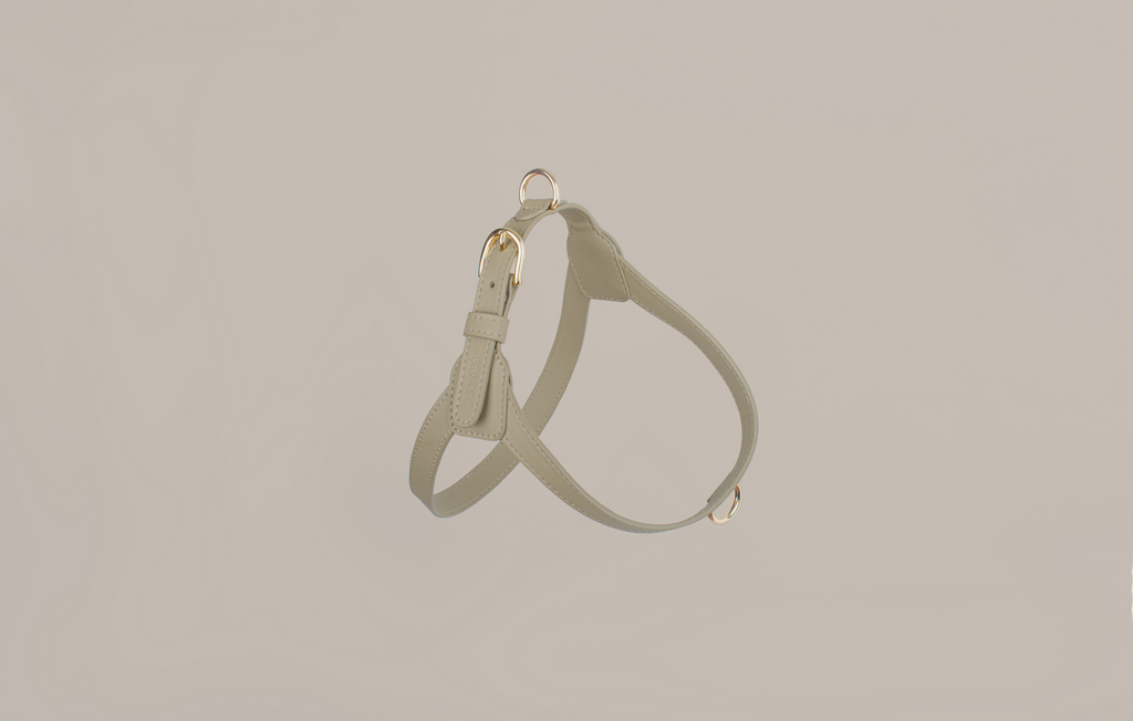 Beige Harness