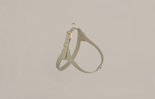 Beige Harness