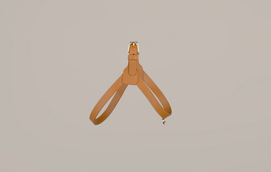 Camel Harness
