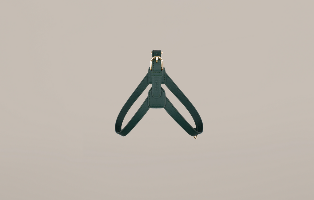 Teal Harness
