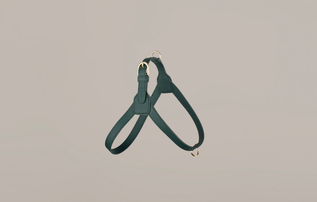Teal Harness